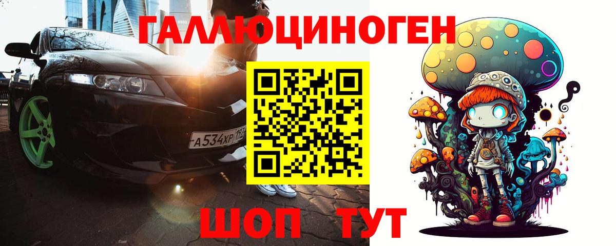 Псилоцибиновые грибы ЛСД  Вход с VPN  Артём  Галлюциногенные грибы Psilocybe 