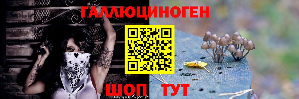 Галлюциногенные грибы MAGIC MUSHROOMS Артём